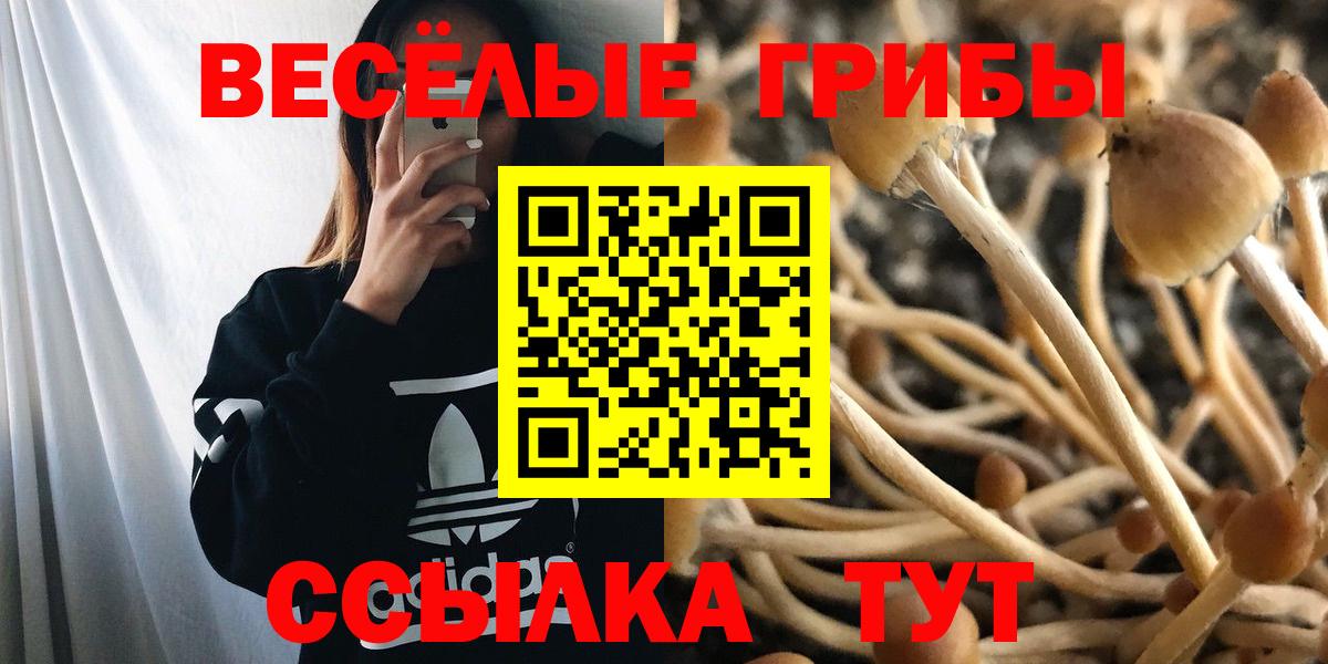 Псилоцибиновые грибы Magic Shrooms Феодосия